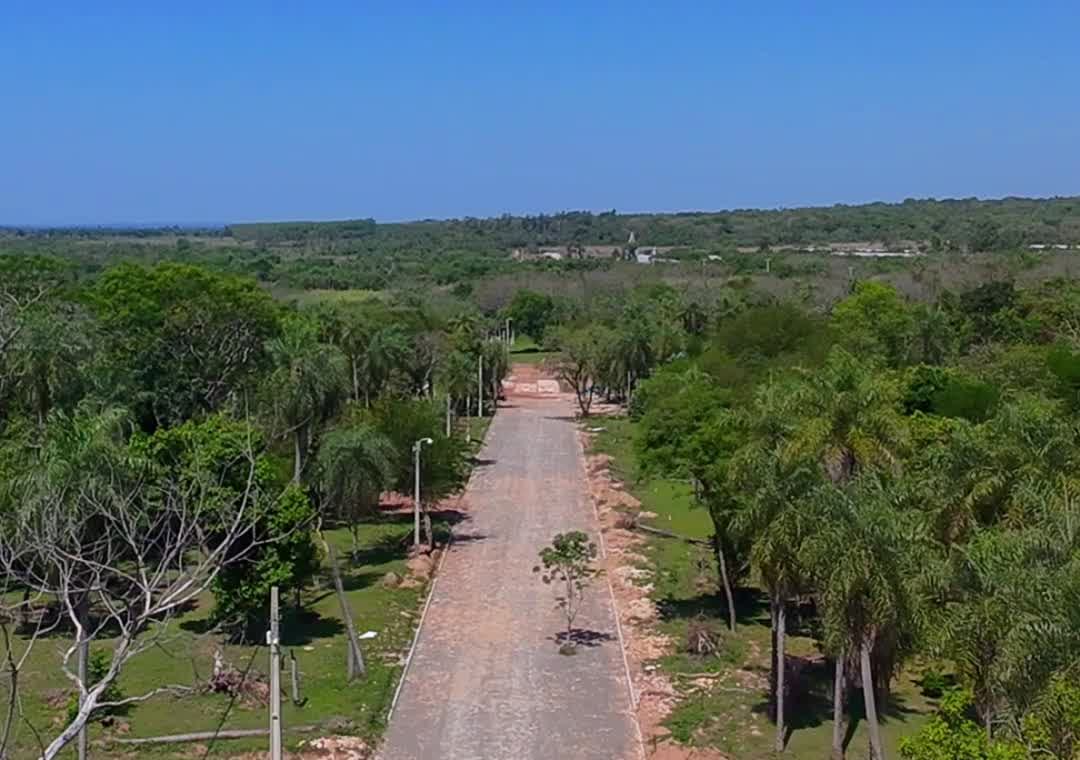 Calle empedrada del barrio vista desde el aire