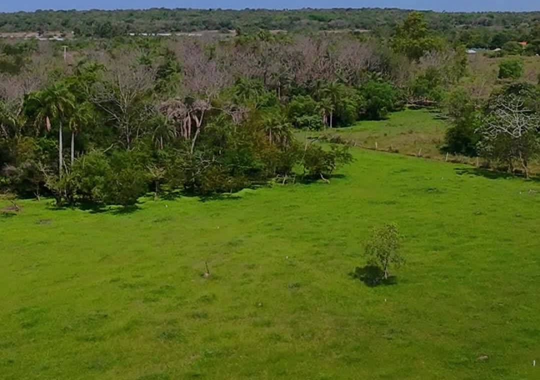 Lotes con áreas verdes en Las Lomas